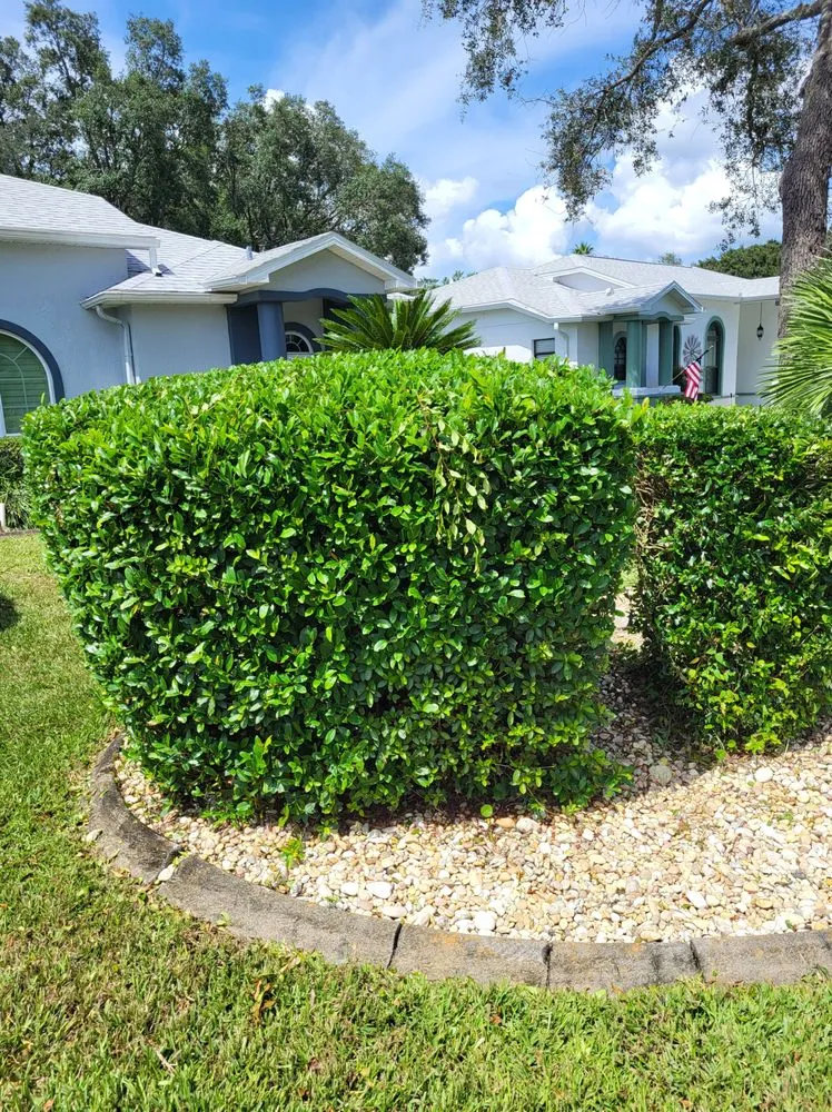 Reliable garden landscaping near you across Spring Hill, FL - The New Era Landscaping