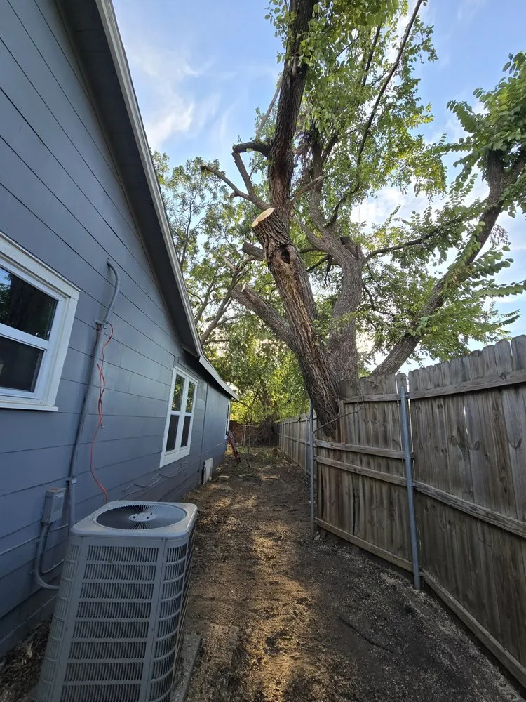 Professional landscape design in Tom Bean, TX - The New Future Landscaping