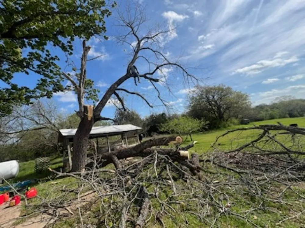 Local yard maintenance for residential properties across Sherman, TX - The New Future