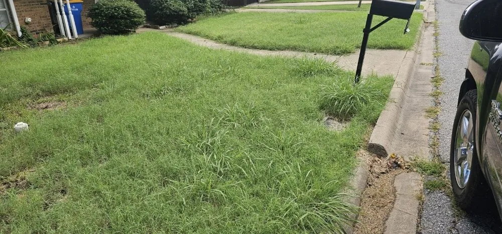 Custom landscape installation with custom design in Sherman, TX by The New Future