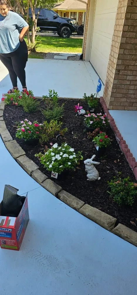 Expert landscaping services for year-round maintenance in Sherman, TX by The New Future