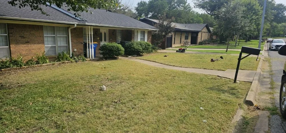 Custom landscape installation for year-round maintenance across Sherman, TX - The New Future