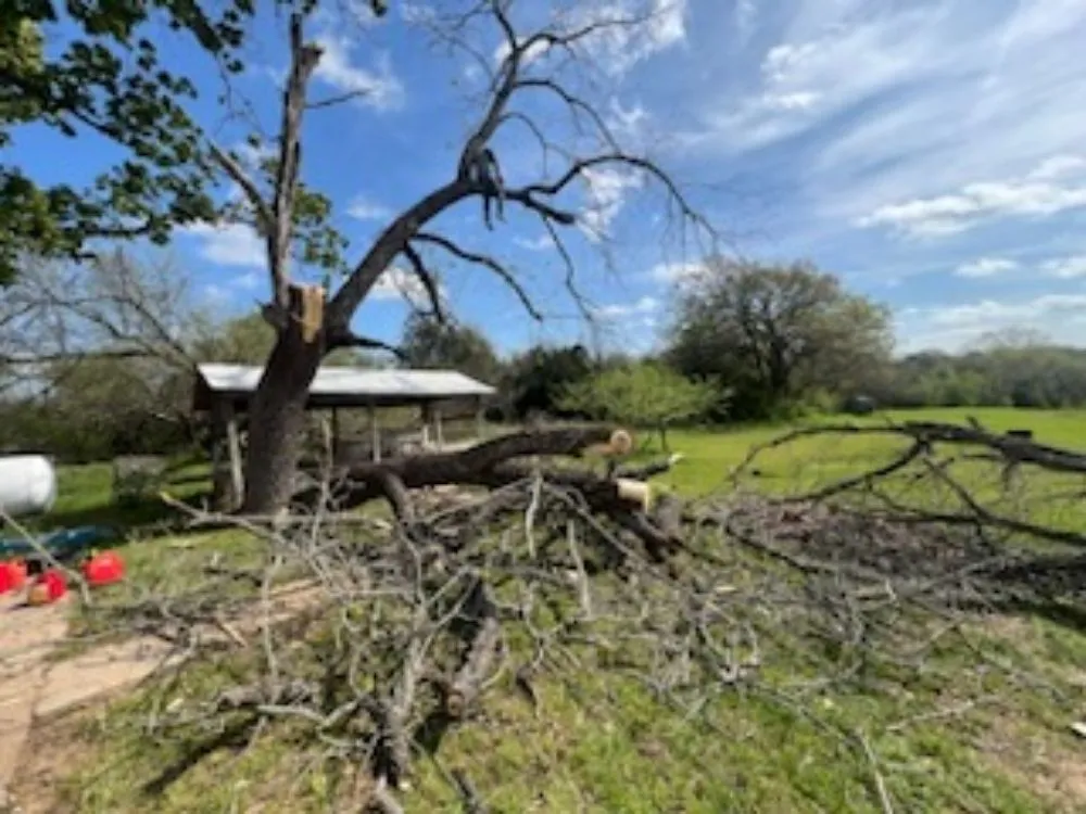 Expert outdoor landscaping for residential properties across Sherman, TX - The New Future