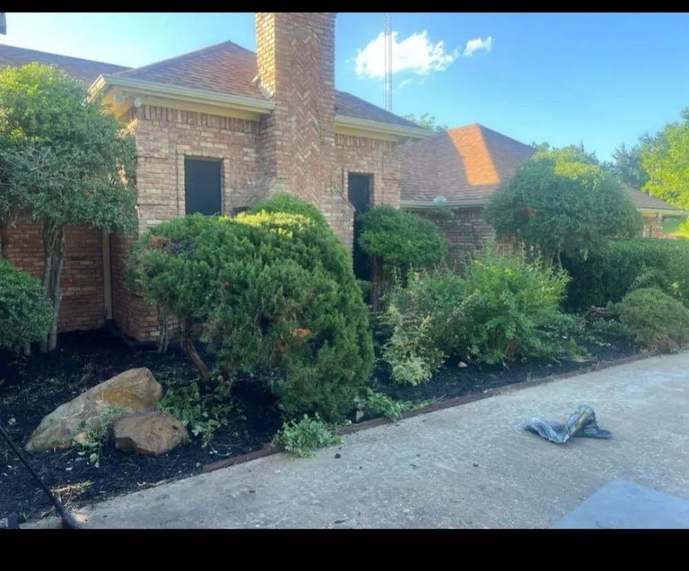 Reliable yard maintenance with custom design across Sherman, TX - The New Future