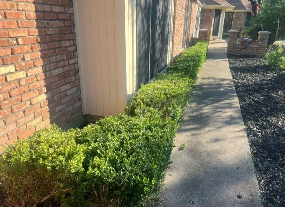 Local lawn mowing service with custom design in Sherman, TX by The New Future