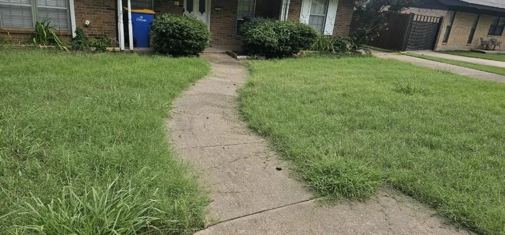 Top-rated yard cleanup service in Sherman, TX - The New Future