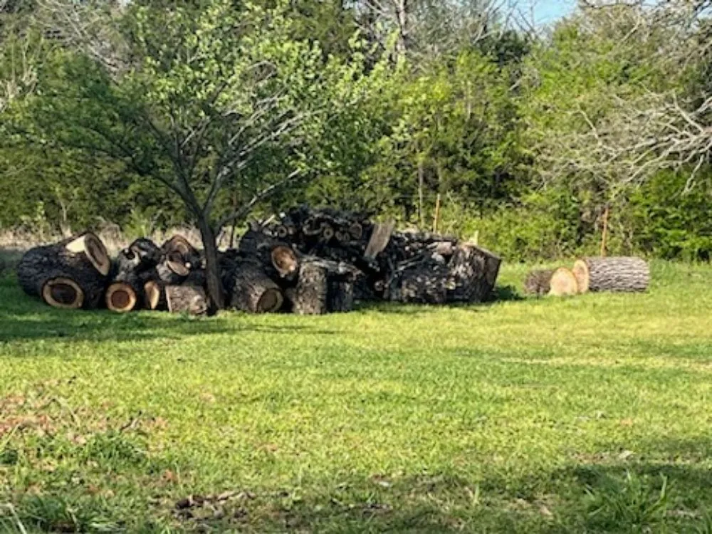 Custom yard maintenance in Sherman, TX - The New Future