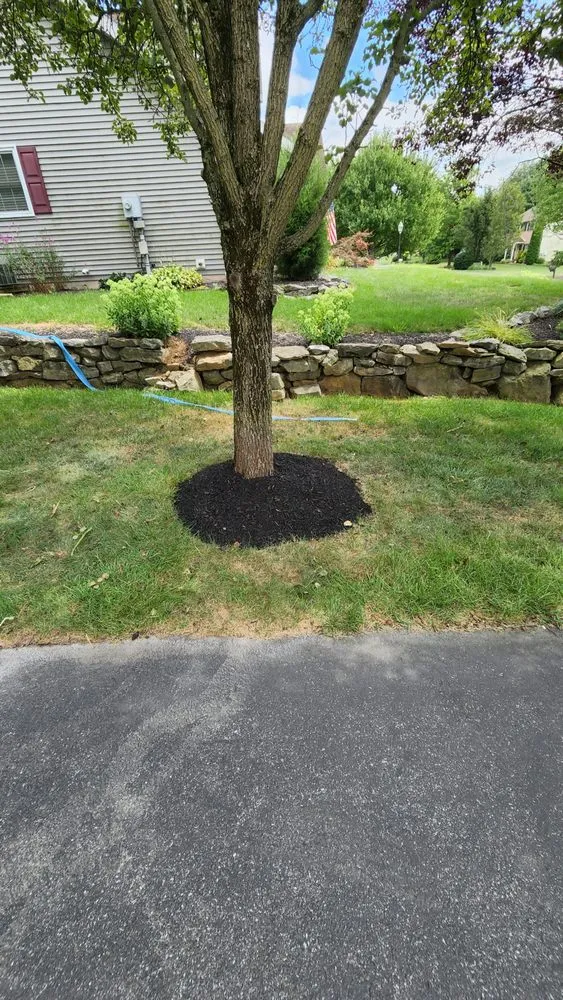 Expert landscape installation for beautiful yards in Lebanon, PA by The New Horizon Lawn Care & Landscape Services