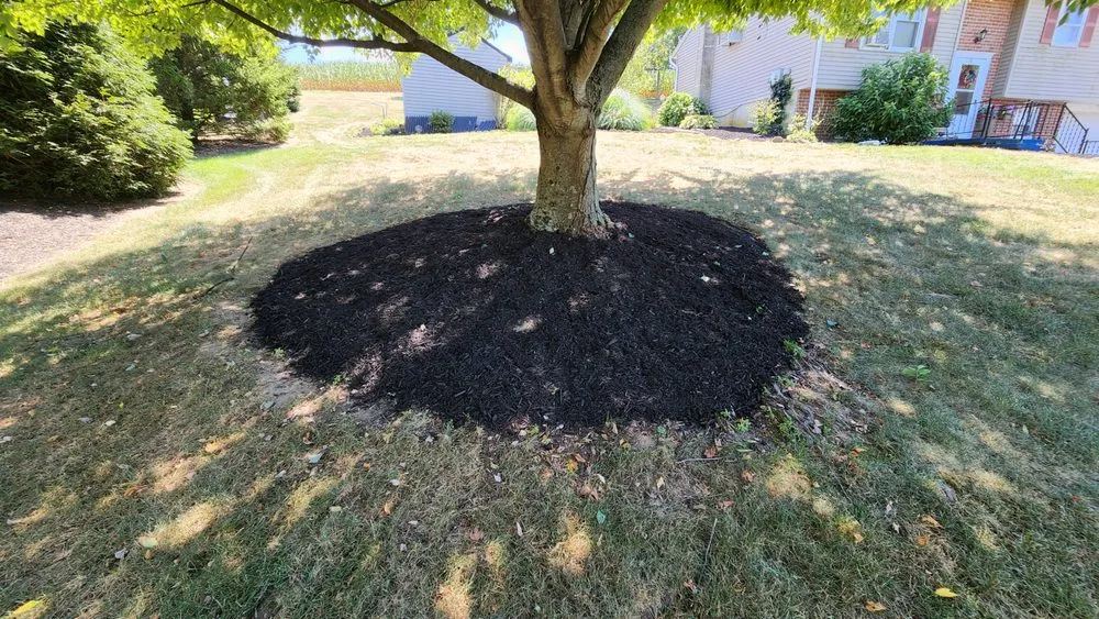 Trusted lawn care service near you across Lebanon, PA - The New Horizon Lawn Care & Landscape Services