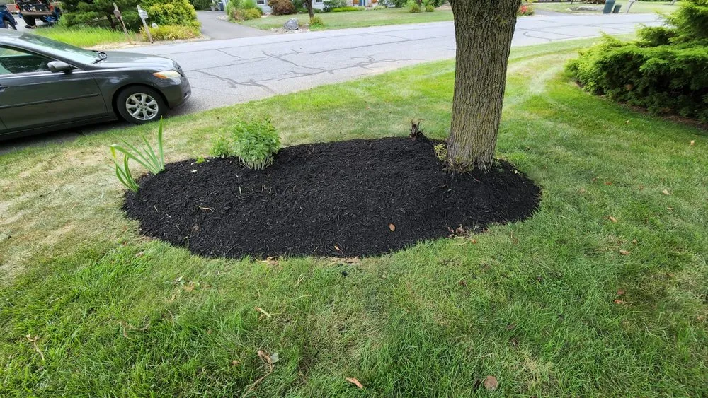Reliable residential landscaping in Lebanon, PA by The New Horizon Lawn Care & Landscape Services
