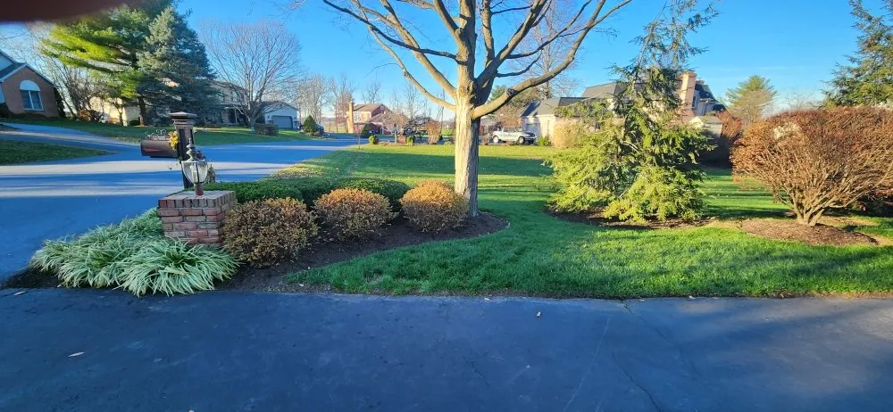 Professional outdoor landscaping for residential properties across Pittsburgh, PA - The  New Horizon Lawn Care