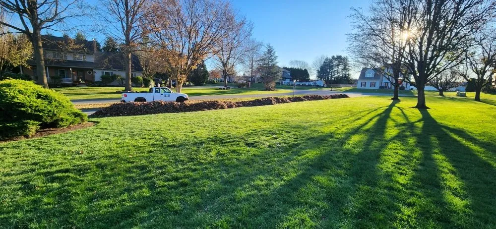 Expert yard cleanup service in Pittsburgh, PA - The  New Horizon Lawn Care