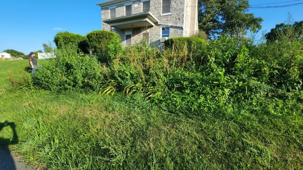 Trusted residential landscaping in Pittsburgh, PA by The  New Horizon Lawn Care