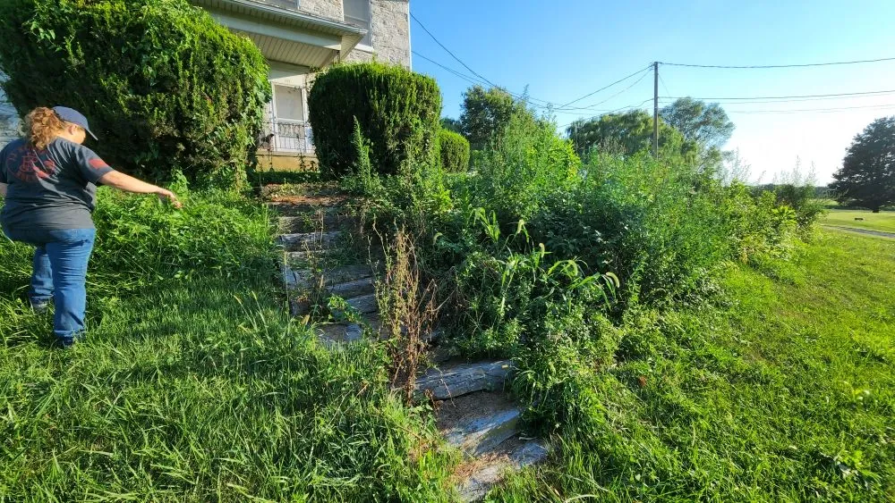 Affordable landscape installation for beautiful yards in Pittsburgh, PA by The  New Horizon Lawn Care