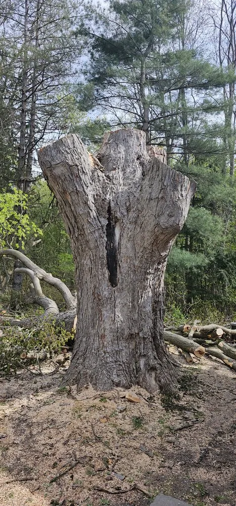 Expert residential landscaping in Jordan, NY - The Next Generation Yard And Tree Service