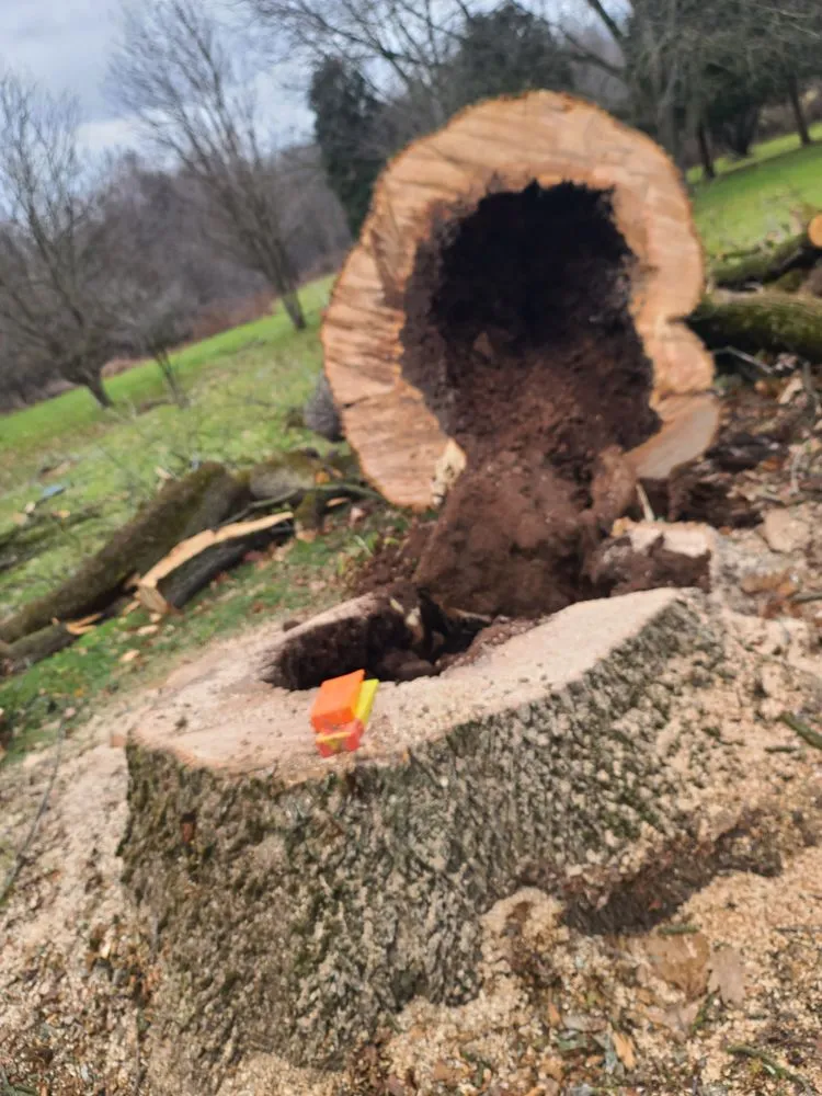 Trusted yard cleanup service in Jordan, NY - The Next Generation Yard And Tree Service