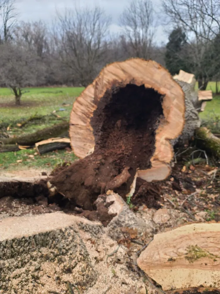 Expert landscape installation in Jordan, NY - The Next Generation Yard And Tree Service