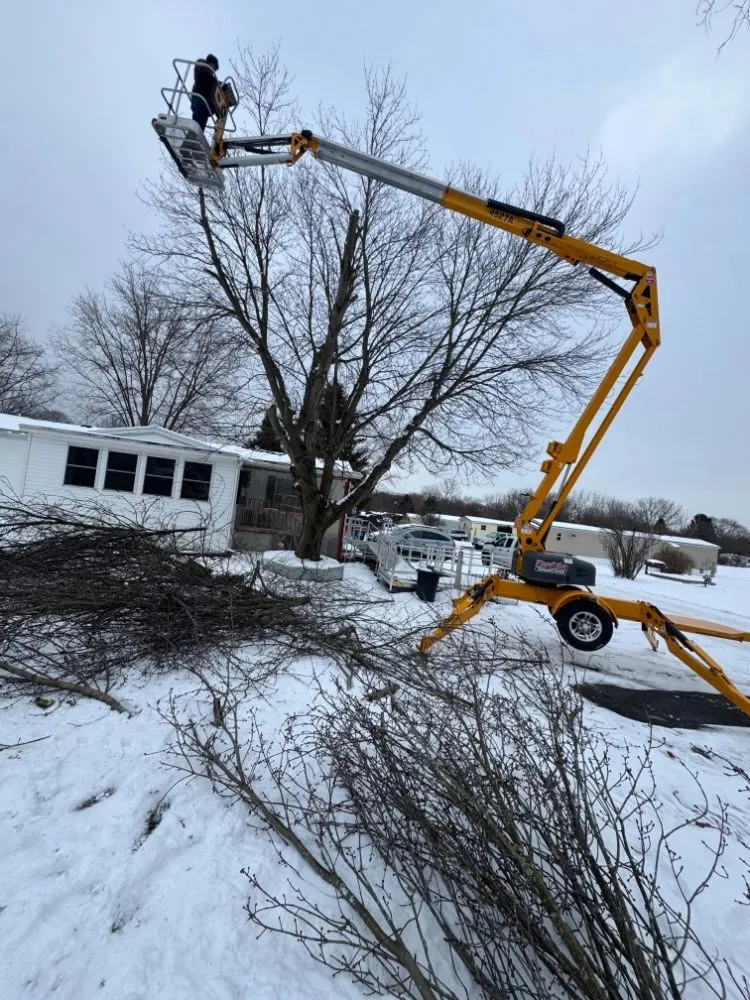 Reliable garden landscaping in Jordan, NY by The Next Generation Yard And Tree Service