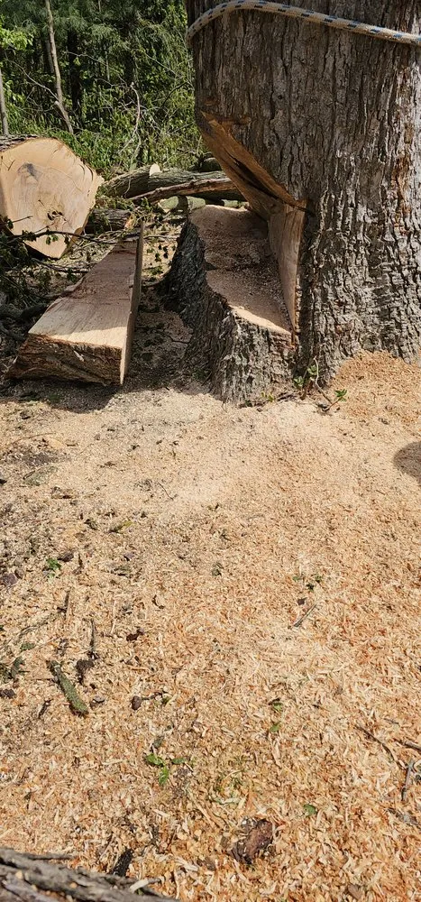 Top-rated outdoor landscaping experts serving Jordan, NY - The Next Generation Yard And Tree Service