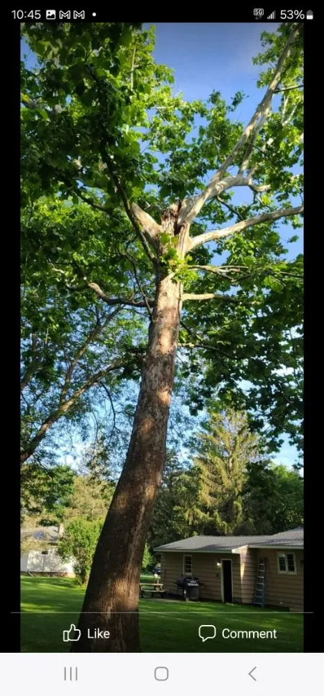 Professional garden landscaping experts serving Jordan, NY - The Next Generation Yard And Tree Service