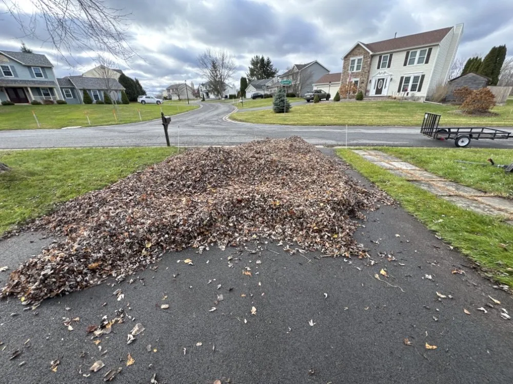 Top-rated lawn mowing service in Jordan, NY - The Next Generation Yard And Tree Service