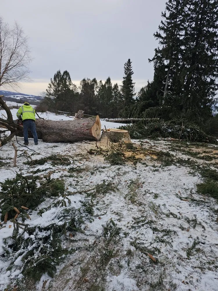 Top-rated landscape installation for residential properties across Jordan, NY - The Next Generation Yard And Tree Service
