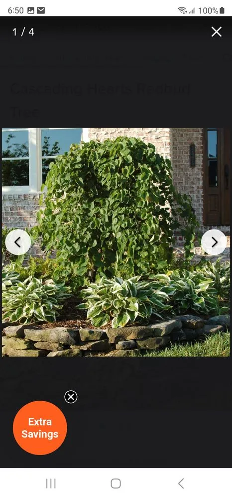 Affordable lawn care service in Jordan, NY by The Next Generation Yard And Tree Service