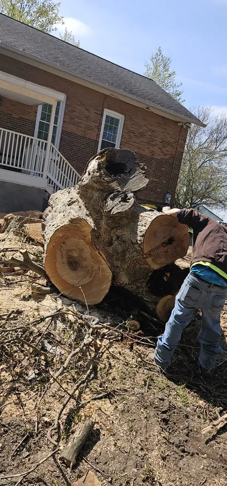 Top-rated landscape installation for year-round maintenance in Jordan, NY by The Next Generation Yard And Tree Service