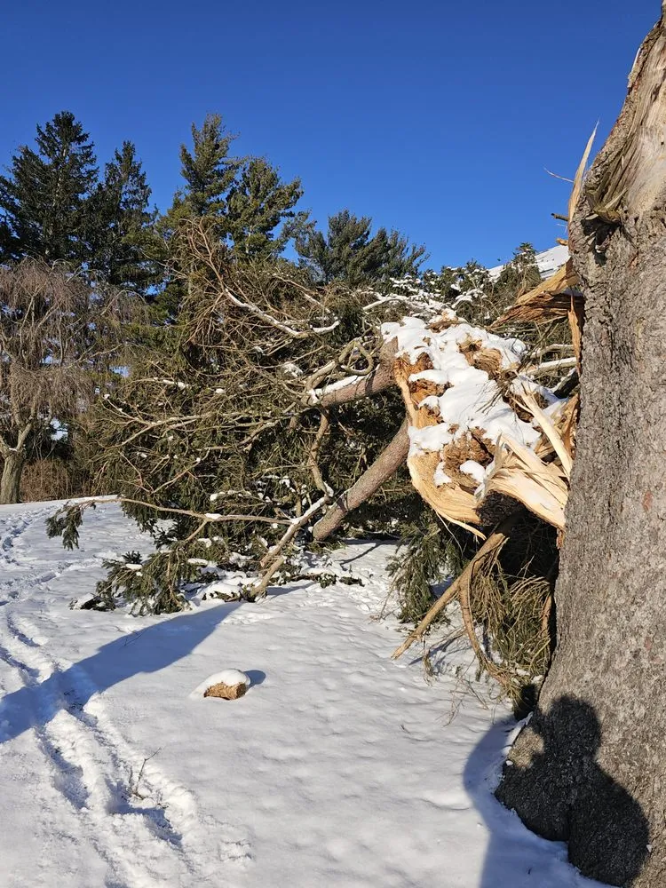 Top-rated lawn care service in Jordan, NY - The Next Generation Yard And Tree Service