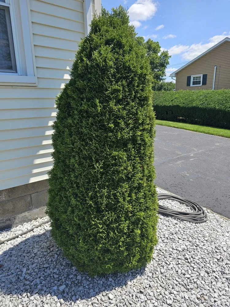 Top-rated yard maintenance in Jordan, NY - The Next Generation Yard And Tree Service