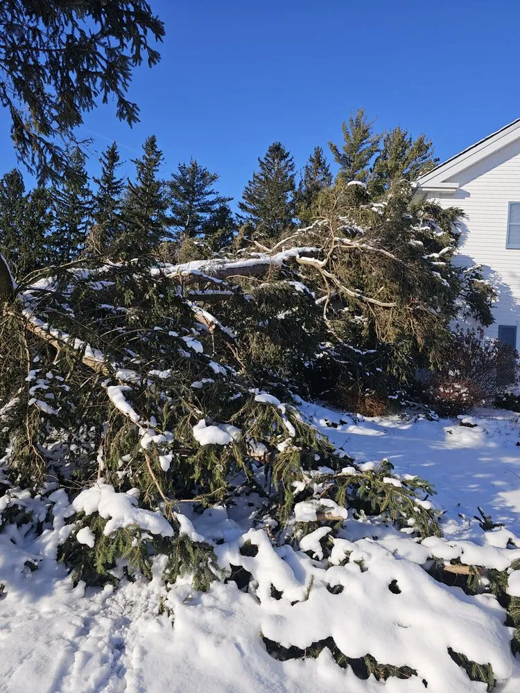 Top-rated yard maintenance for homes in Jordan, NY by The Next Generation Yard And Tree Service