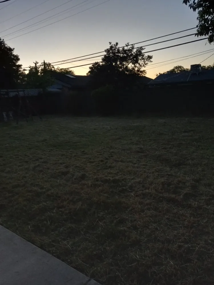 Top-rated lawn care service in Stockton, CA by The Nine Landscaping