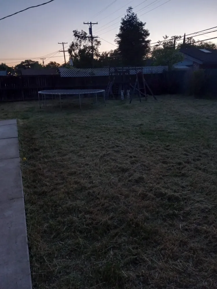 Affordable outdoor landscaping for homes in Stockton, CA by The Nine Landscaping