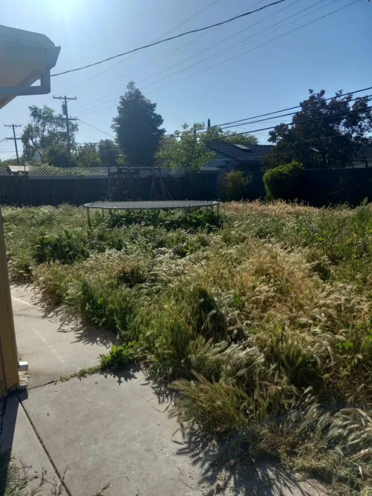 Trusted yard cleanup service for beautiful yards across Stockton, CA - The Nine Landscaping