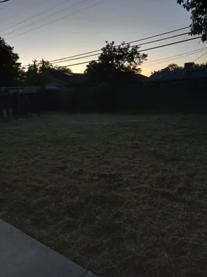 The Nine Landscaping Logo