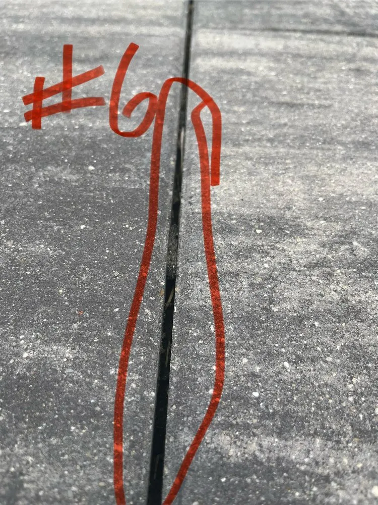 Trusted yard cleanup service in Lake Barrington, IL - The NL Group