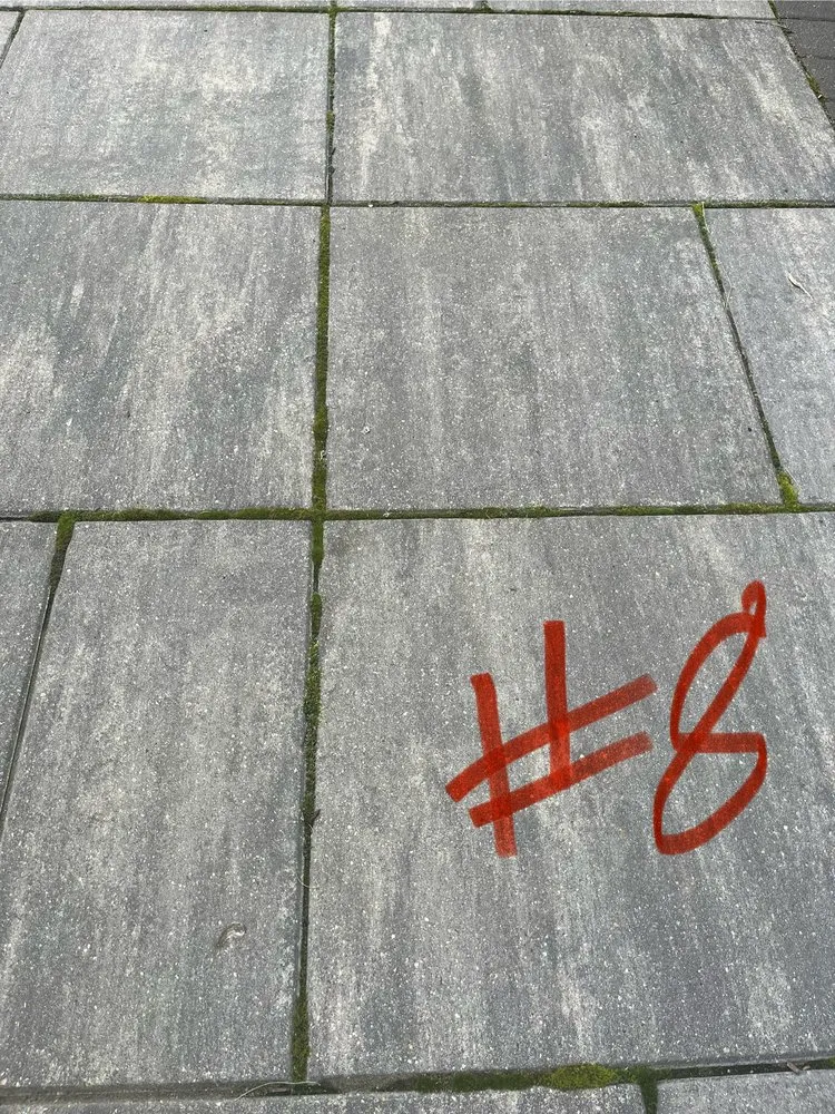 Professional lawn care service near you across Lake Barrington, IL - The NL Group