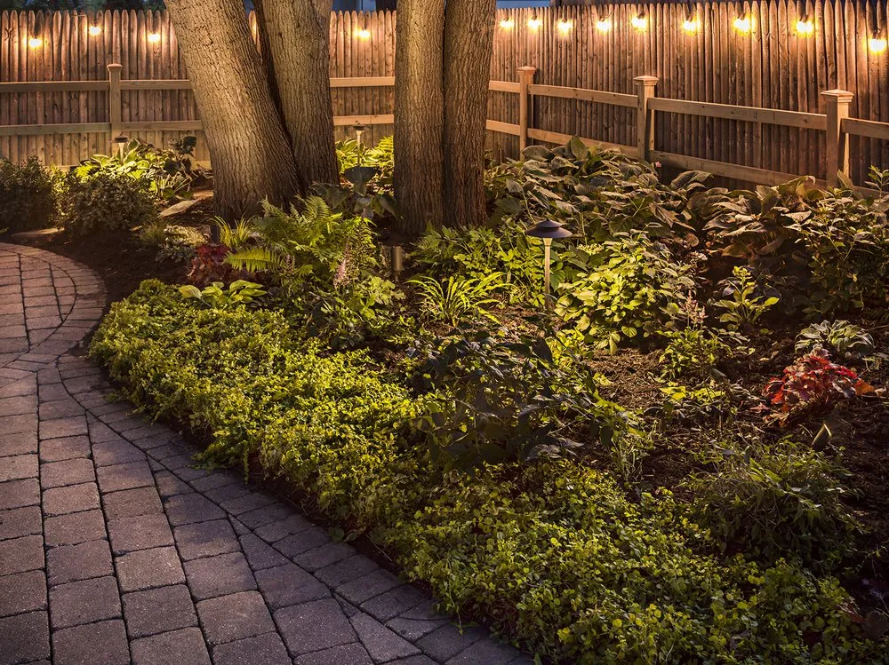 Reliable lawn care service in Lake Barrington, IL - The NL Group