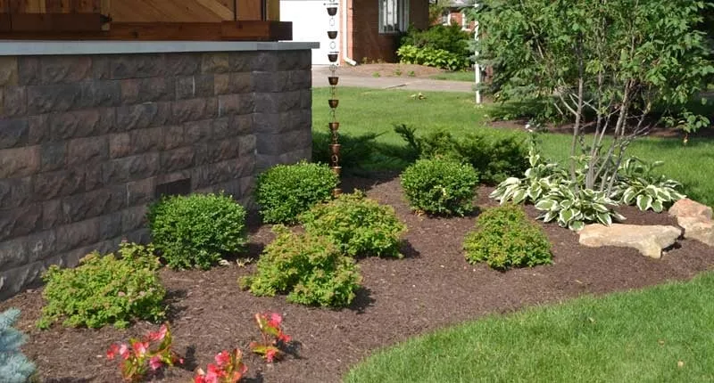 Local yard cleanup service in Fishers, IN - The Noll Landscape Group
