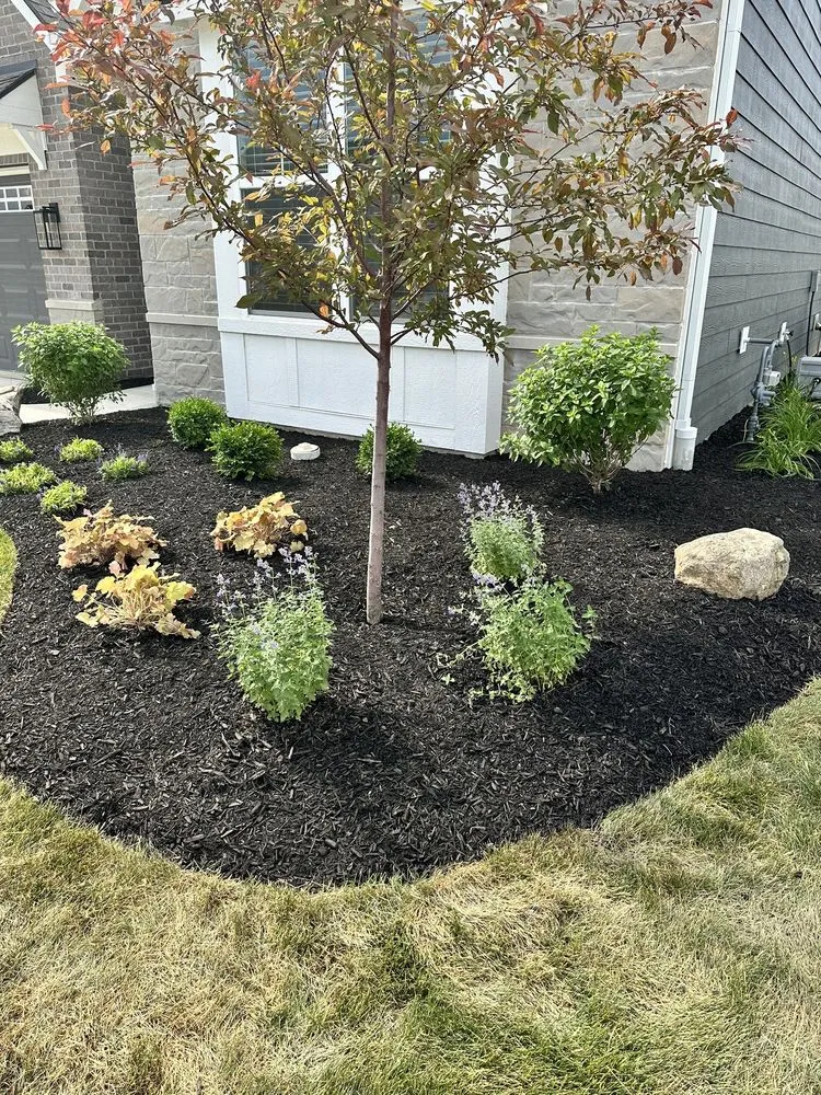 Affordable landscape installation for year-round maintenance in Fishers, IN by The Noll Landscape Group