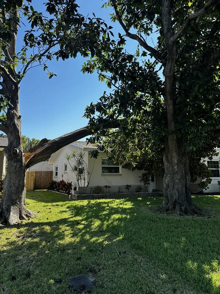 Affordable landscape installation in Clearwater, FL by The Nomads lawn sod and tree service