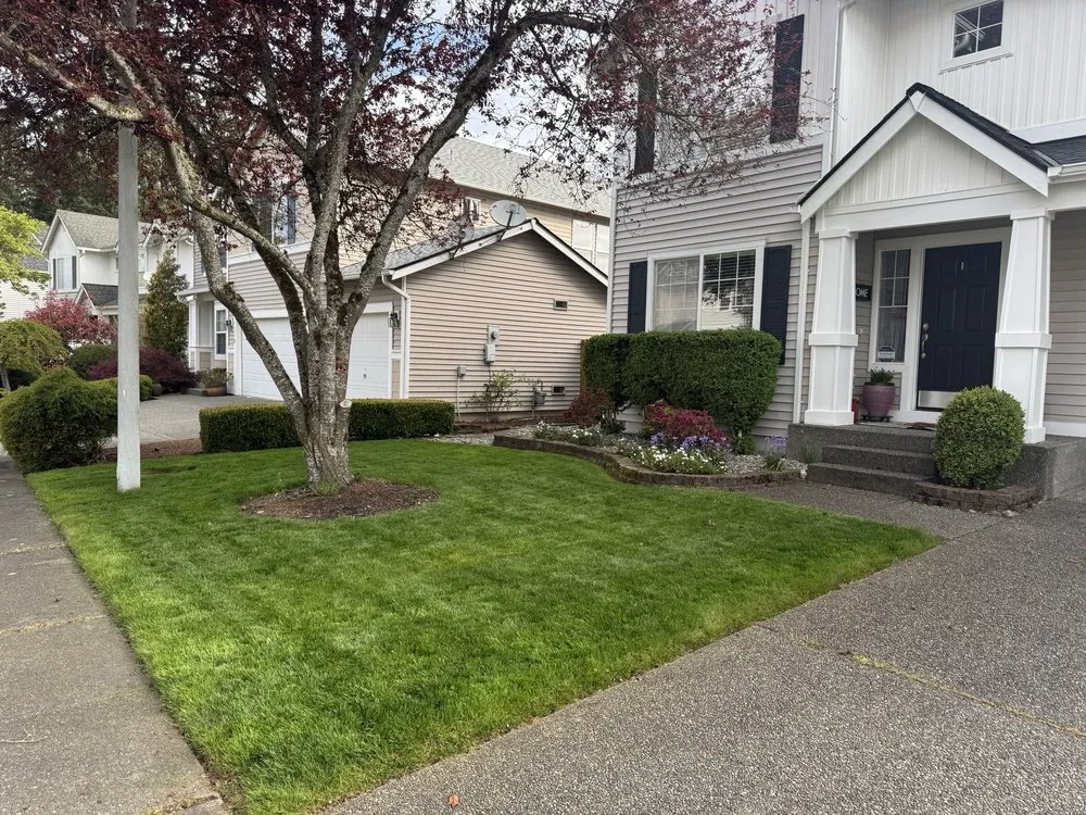 Professional garden landscaping for outdoor upgrades across Mill Creek, WA - The Northwest Gardener