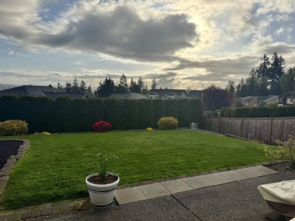 Affordable yard cleanup service for outdoor upgrades across Mill Creek, WA - The Northwest Gardener