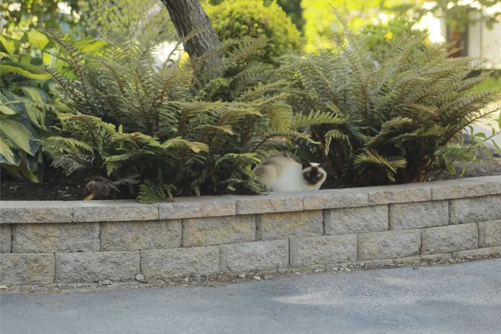 Affordable lawn mowing service experts serving Mill Creek, WA - The Northwest Gardener