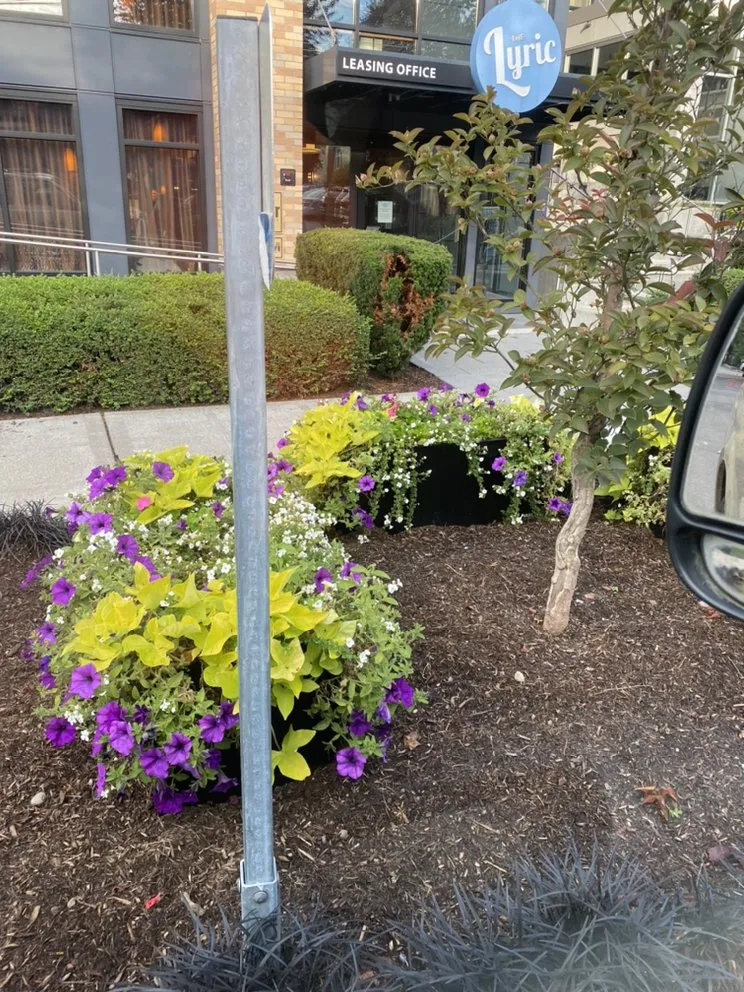 Top-rated yard cleanup service for beautiful yards across Mill Creek, WA - The Northwest Gardener