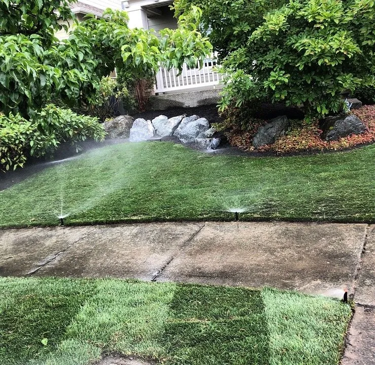 Professional yard maintenance with custom design in Mill Creek, WA by The Northwest Gardener