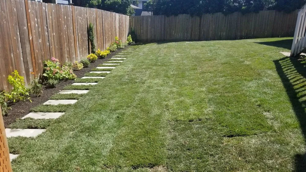 Professional yard maintenance in Mill Creek, WA by The Northwest Gardener