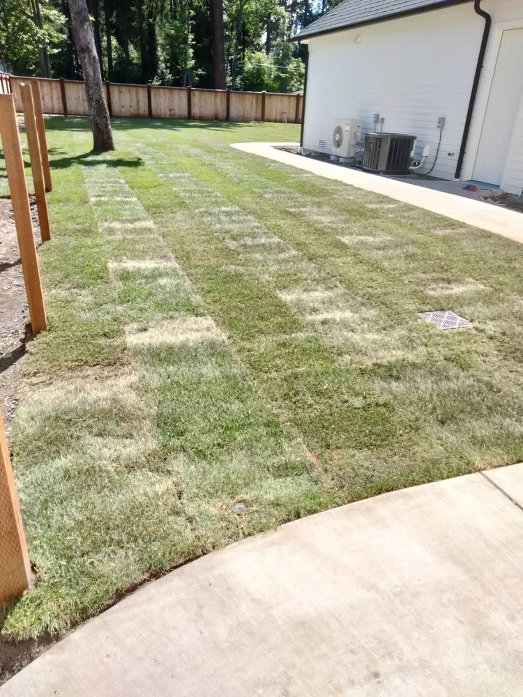 Custom lawn care service for year-round maintenance in Yelm, WA by The Northwest Groundsman Guys & Landscapes