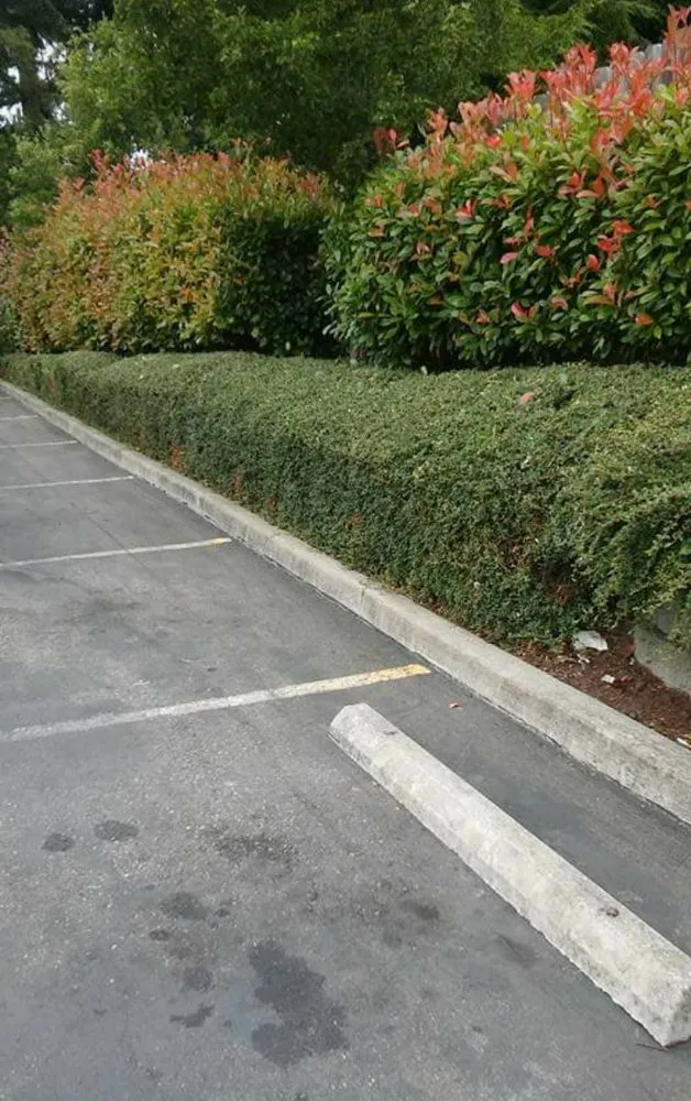 Reliable residential landscaping experts serving Yelm, WA - The Northwest Groundsman Guys & Landscapes