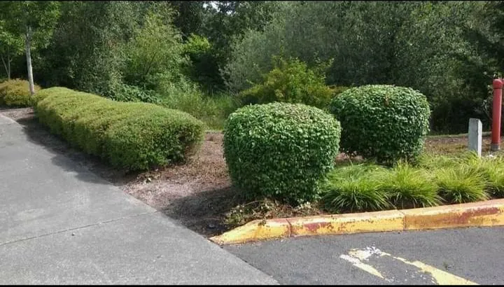 Reliable outdoor landscaping in Yelm, WA - The Northwest Groundsman Guys & Landscapes